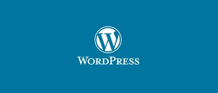 Izrada Sajta i Web Development - Izrada sajta wordpress